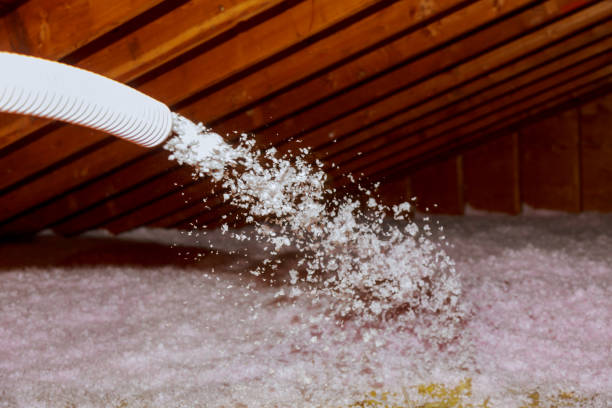 Best Commercial Insulation in Lees Summit, MO